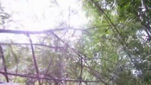 Автомобиль ЗИЛ-157  для активного отдыха.