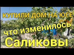 КУПИЛИ ДОМ В СТАНИЦЕ НОВОМИНСКАЯ/ САД/ ОГОРОД/ ГАЗ/ ДО МОРЯ 50 КМ. САЛИКОВЫ.
