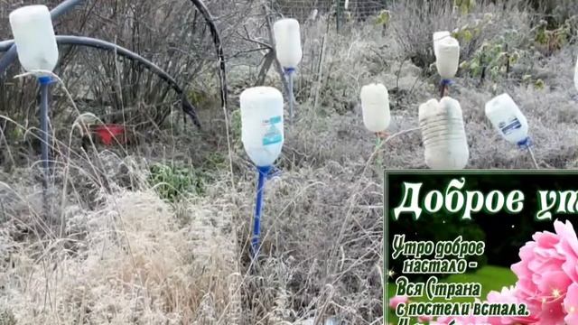 СТАРАЯ РИГА 21.11.2020 В ДЕНЬ СВЯТОГО МИХАИЛА смотреть онлайн