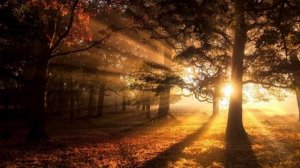 ТАЙНЫ КНИГИ ВЕЛЕСА, ГДЕ ОНА И КАКИЕ ЗНАНИЯ ХРАНИТ? БОГ ВЕЛЕС ЖИЛ НА ЗЕМЛЕ?