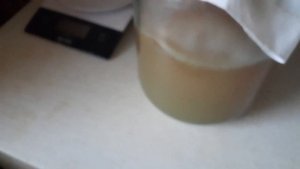 Почему настой чайного грибка стал мутным!?