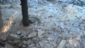 ПРОДОЛЖАЮ СТРОИТЬ ИЗБУ В ЛЕСУ! ЗАКОНЧИЛ ДЕЛАТЬ КРЫШУ!