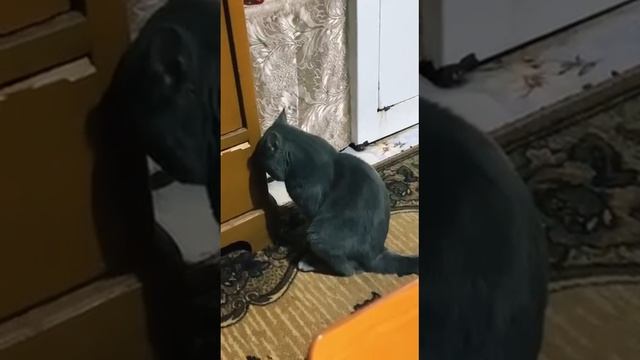 2022-11-14 смотреть онлайн