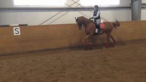 Принимание на лошади галопом