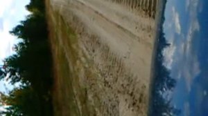 Медведи в Нижневартовском районе