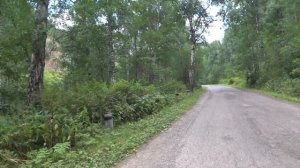 ПУТЕШЕСТВУЕМ ПО СИБИРИ #4.Красноярск