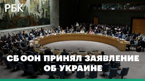 Разбор резолюции Совета Безопасности ООН по Украине