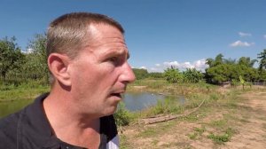 Misty Mountains & Rice Harvesting