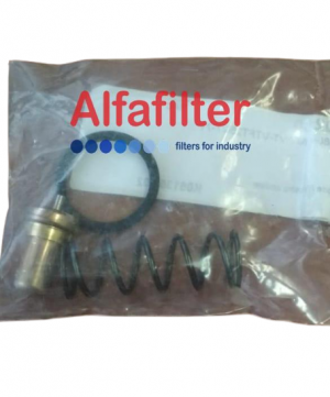 Ремкомплект термостата Fiac 7196530000. Thermostat repair kit