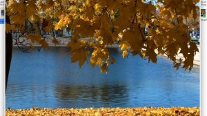 Сказочный телевик / Huawei P50 Pro - как снимает лучший телевик / часть 2 / съемка фото