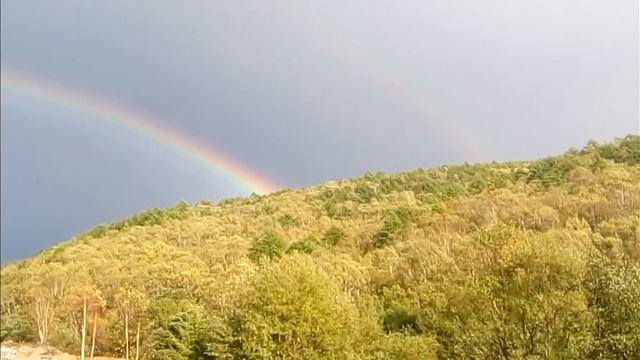 4к радуга смотреть онлайн