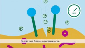 Как работает Пронтосан?