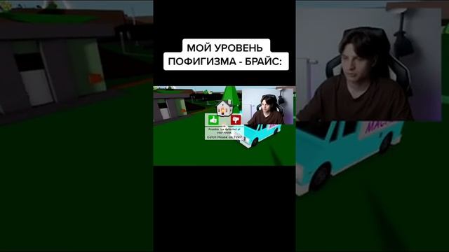 МОЙ УРОВЕНЬ ПОФИГИЗМА. Мемы Роблокс Brookhaven RP Брайс. #Shorts смотреть онлайн