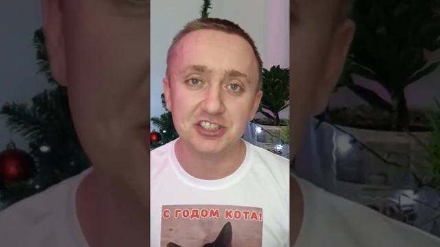 Маркиз мешает снимать видео #животные #блогерста #кот смотреть онлайн