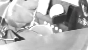 ддт "Белая река"