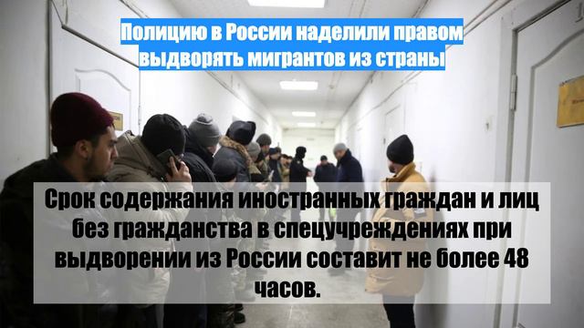 Право полиции выдворять иностранцев. Право полиции выдворять иностранцев. Полиция проверяет мигрантов. Право полиции выдворять иностранцев. Иностранец и полиция.