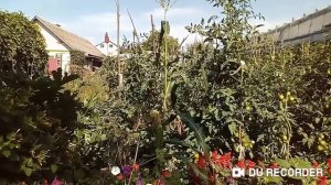 Разделение ртути градусника. Неудачное восстановление.