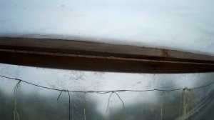 ПАРНИК-ОГУРЕЧНИК СВОИМИ РУКАМИ//ДАЧНЫЙ БЛОГ