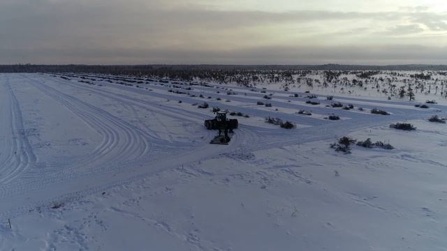Расчистка участка болота под строительство клюквенных чековых полей площадью 12 гектар смотреть онлайн