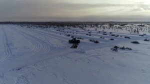 Расчистка участка болота под строительство клюквенных чековых полей площадью 12 гектар