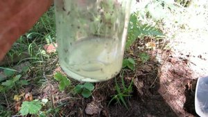 Коп в лесу.Александр(реставратор)№228