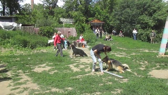 Весёлые старты в Центре специальной дрессировки собак (25.06.2023)