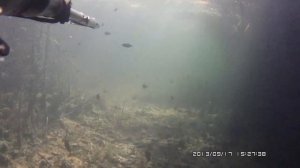 подводная охота. гусиное озеро. бурятия.