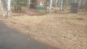 Санаторий Саянская благодать, база отдыха Багульник, 25 апреля 2021 года