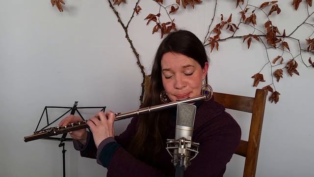 Irish Music on Silver Flute | Tunes In The Kitchen : The First Month of Spring (reel) смотреть онлайн