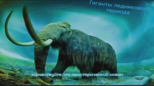 Доисторический океан Риты Воеводиной СПЕЦВЫПУСК. Гиганты ледникового периода.