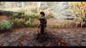 [Skyrim SE/AE] Goetia Animations - Female Idle Walk And Run