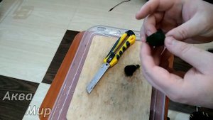 Кладофора шаровидная размножение