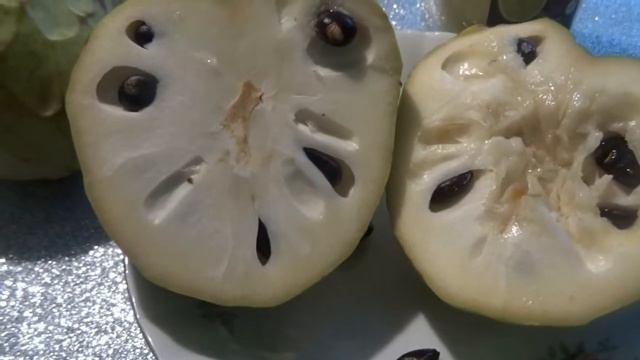 АННОНА И ЧЕРИМОЙЯ
