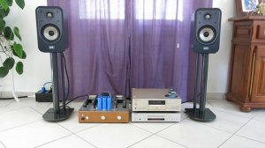Polk Signature elite ES20 (#polk)