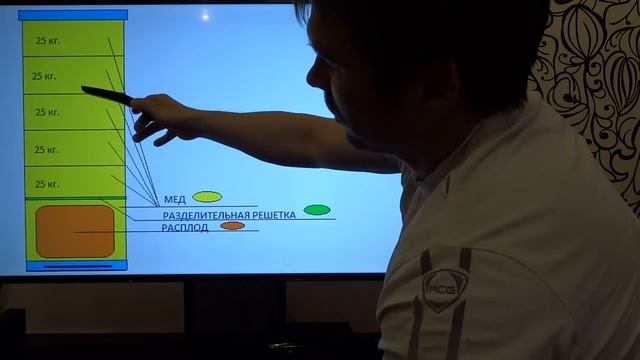 Технология содержания пчел в 1 гнездовом корпусе + магазины на 145. смотреть онлайн