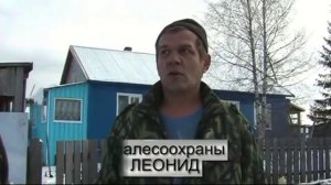 Лесхозовские мин полосы Верхнекетского района, Томской области