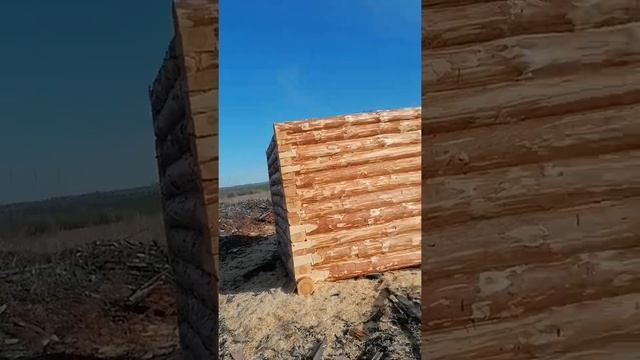 Сруб бани из сосны 3х3 в лапу. Качество на высшем уровне. Приезжайте/выбирайте/заказывайте. смотреть онлайн