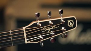 Seagull Original S6 Dreadnought Acoustic Guitar Demo