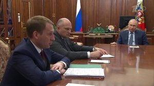 Владимир Путин провел встречу с главами МЧС и Минприроды России
