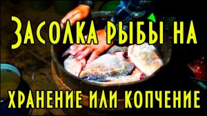 ЗАСОЛКА ЩУКИ И КАРАСЯ В БОЧКЕ, ДЛЯ ХОЛОДНОГО КОПЧЕНИЯ РЫБЫ Часть 2.1