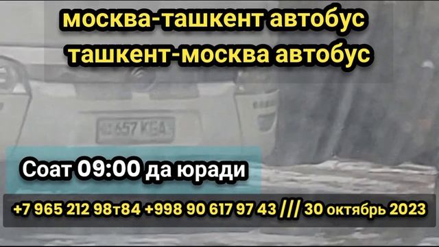 москва-ташкент автобус ташкент-москва автобус #tashkent #moskva #avtobus #tashkentmoskvaavtobus ￼