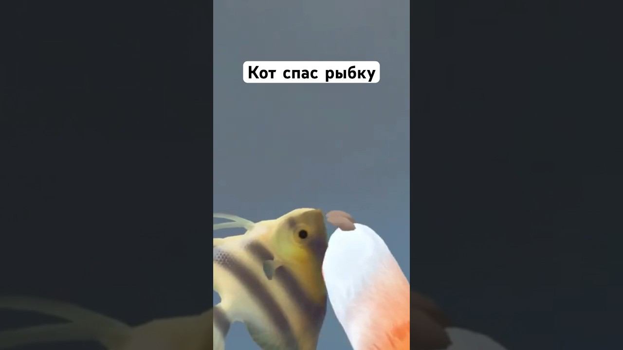 Спас рыбку vr granny shorts