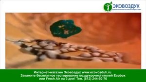 Вода основа жизни, вся правда о ионизированной воде!