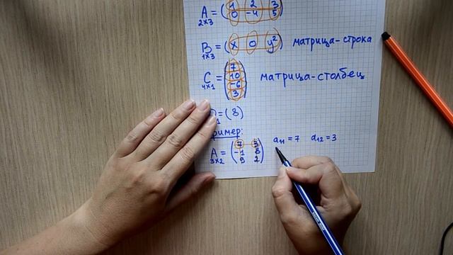 Матрицы. Виды матриц | Высшая Математика