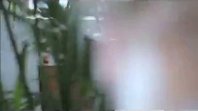 Johnny foreigner - Salt,Peppa and Spinderella смотреть онлайн