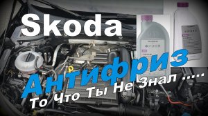 Skoda: Антифриз Нюансы Эксплуатации (2024)