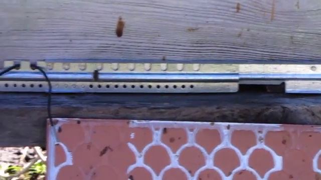 16 марта после вчерашнего снега пчёлы несут обножку, 16.03.2020 года, 10:52 утра смотреть онлайн