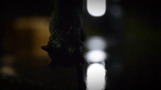 //и это было только одно слово.. любовь.// смотреть онлайн