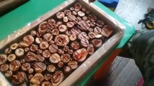 Эпоксидная смола....первый опыт смотреть онлайн