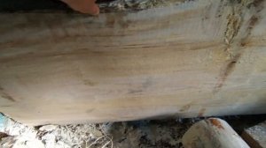 Дедовский способ против плесени